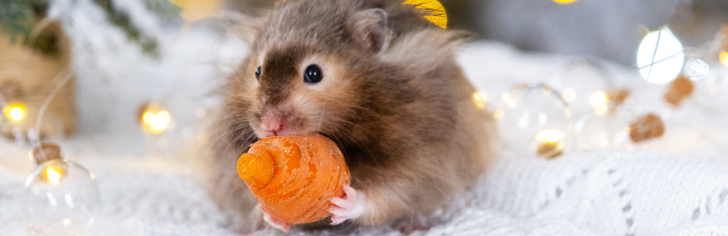 🎄Veselé Vánoce 🎄