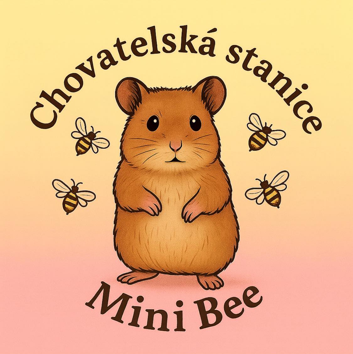 584754897_122096416017132406_8202337766092821984_n