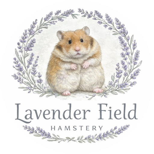 LOGO 2026